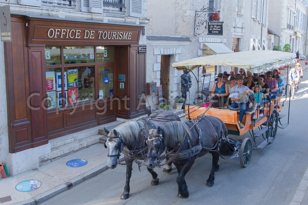 Balade en voiture à cheval à Blois